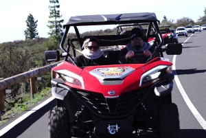 Round-Trip Coastal Buggy Tour in Tenerife