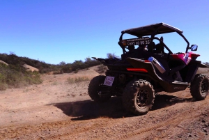 Round-Trip Coastal Buggy Tour in Tenerife
