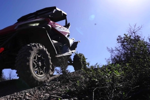 Round-Trip Coastal Buggy Tour in Tenerife