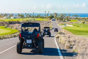 テネリフェ島の海岸線を走る往復バギーツアー