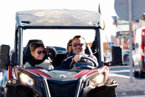 テネリフェ島の海岸線を走る往復バギーツアー