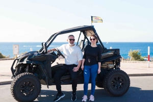 テネリフェ島の海岸線を走る往復バギーツアー
