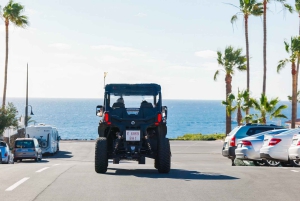 テネリフェ島の海岸線を走る往復バギーツアー
