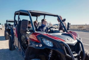 テネリフェ島の海岸線を走る往復バギーツアー