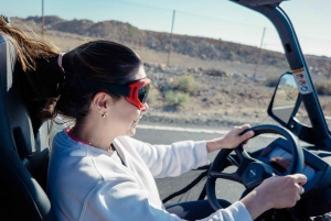 テネリフェ島の海岸線を走る往復バギーツアー