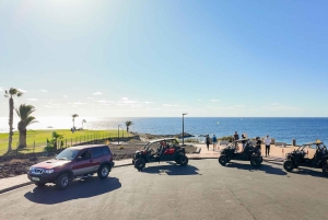 テネリフェ島の海岸線を走る往復バギーツアー