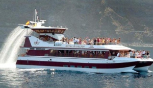 Best Boat Trips in Tenerife
