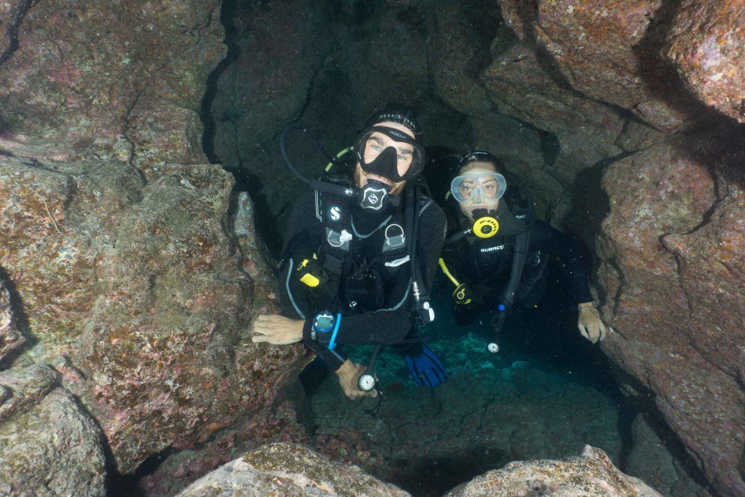 S Tenerife : plongée guidée en bateau pour les plongeurs certifiés