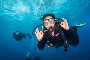 S Tenerife : plongée guidée en bateau pour les plongeurs certifiés