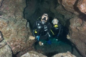 S Tenerife : plongée guidée en bateau pour les plongeurs certifiés