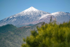 Sail the Canaries: Nature, Culture, and Culinary Delights