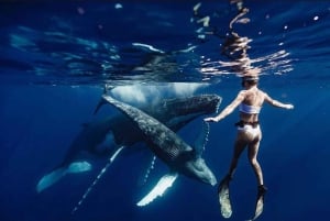 Sejl til De Kanariske Øer: Natur, kultur og kulinariske lækkerier