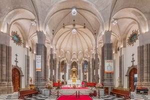 San Cristobal de La Laguna: ingresso para a Catedral com audioguia
