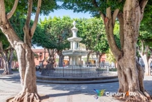 San Cristóbal de La Laguna: Tour guidato a piedi nel centro storico UNESCO