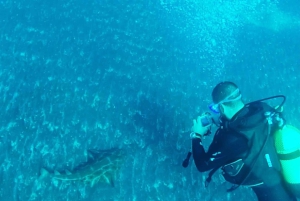 San Miguel de Abona: 2–Dive Package