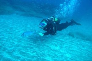 San Miguel de Abona: 2–Dive Package