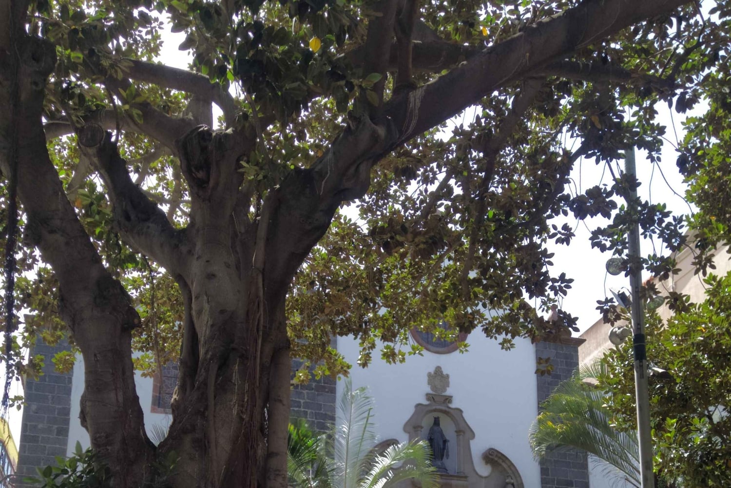 Santa Cruz de Tenerife: A Prestige Places Crawl