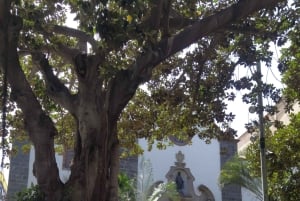 Santa Cruz de Tenerife: A Prestige Places Crawl