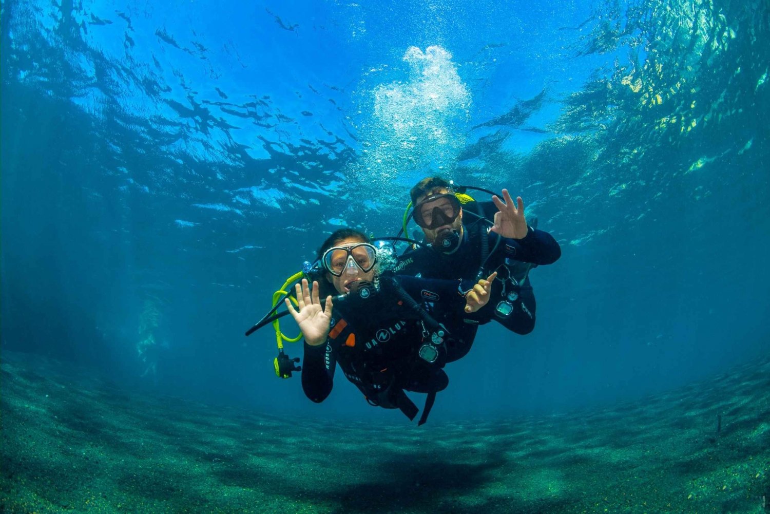 Santa Cruz de Tenerife: Beginner's Diving & Introduction