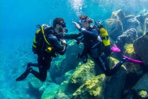 Santa Cruz de Tenerife: Beginner's Diving & Introduction