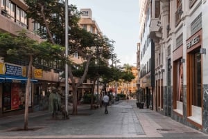 Santa Cruz de Tenerife: Gourmet Tapas and Wine Tour