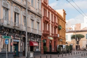 Santa Cruz de Tenerife: Gourmet Tapas and Wine Tour