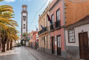 Santa Cruz de Tenerife: Gourmet Tapas and Wine Tour