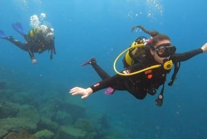 Santa Cruz de Tenerife: Curso de Iniciación al Buceo y 2 Inmersiones