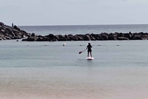 Santa Cruz de Tenerife: Las Teresitas Stand Up Paddle Course
