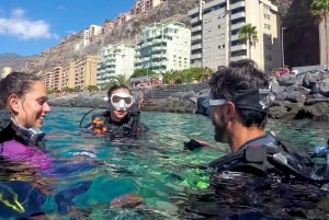 Santa Cruz de Tenerife: PADI Schnuppertauchen