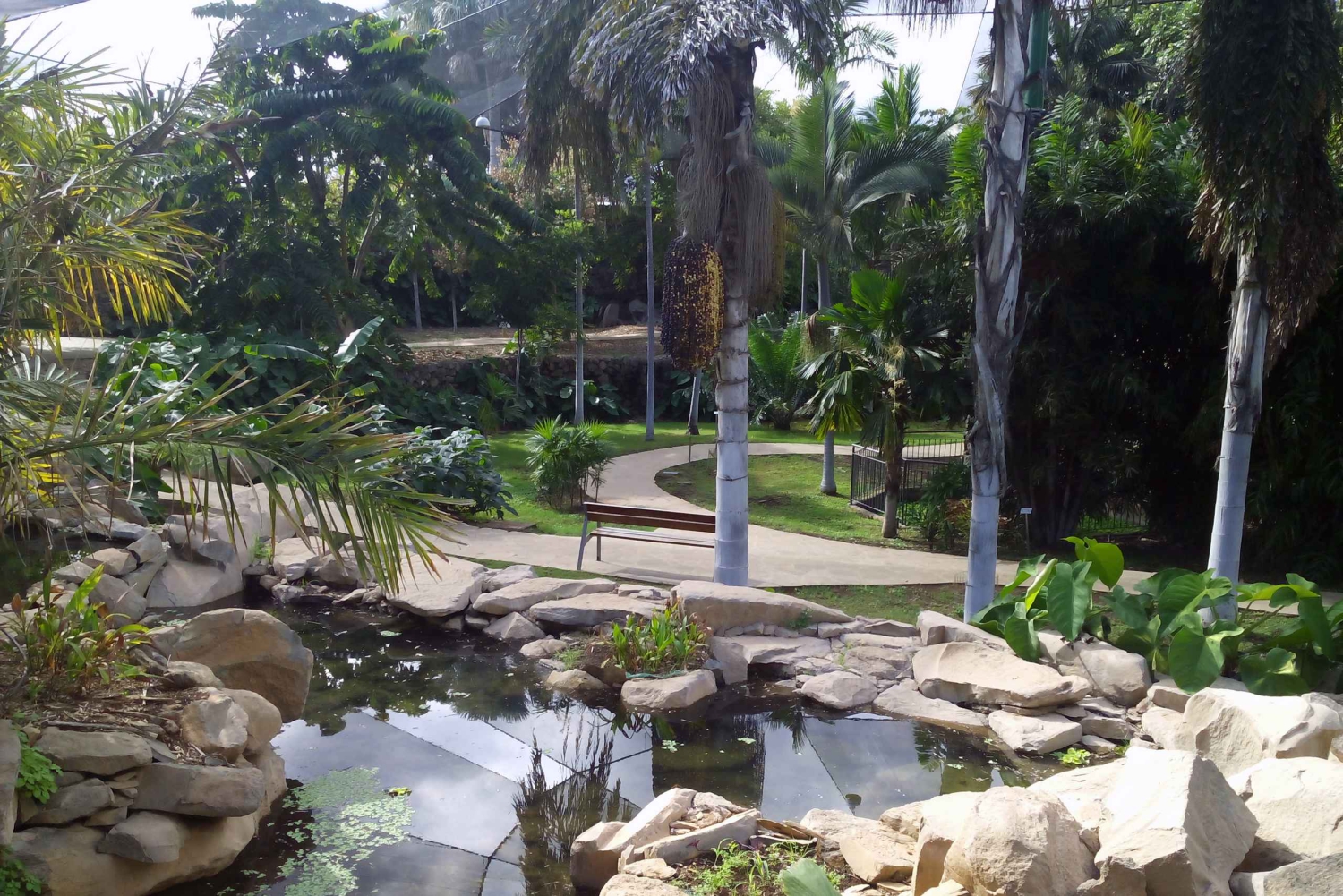 Santa Cruz de Tenerife Palmetum Entry Ticket