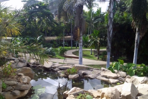 Santa Cruz de Tenerife Palmetum Entry Ticket