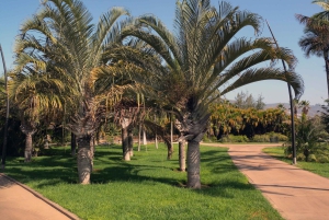 Santa Cruz de Tenerife Palmetum Entry Ticket