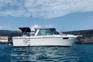 Santa Cruz de Tenerife: Private Family Fishing Tour