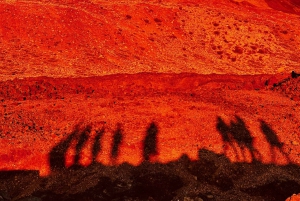 Santa Cruz de Tenerife: Private Teide National Park Tour