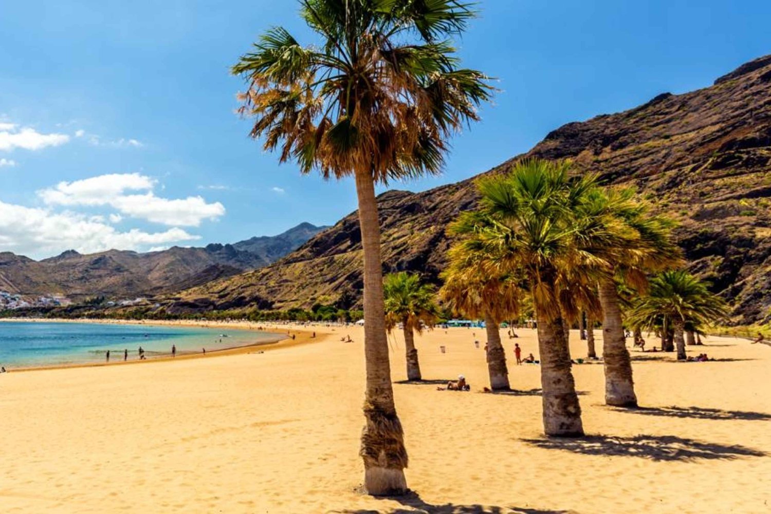 Puerto de la Cruz: VIP Escapada Tenerife Playa Teresitas, Ciencia y Cultura