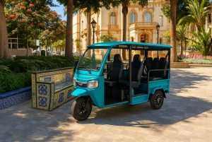 Santa Cruz de Tenerife: Tuk Tuk Tour of the Cultural and Modern City