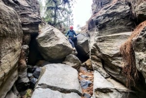 サンタ クルス デ テネリフェ：ビラフロール キャニオニング ツアー