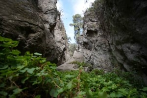 サンタ クルス デ テネリフェ：ビラフロール キャニオニング ツアー