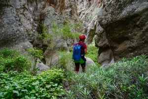サンタ クルス デ テネリフェ：ビラフロール キャニオニング ツアー