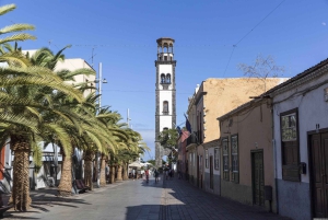 Santa Cruz de Tenerife: walking tour with an expert local guide