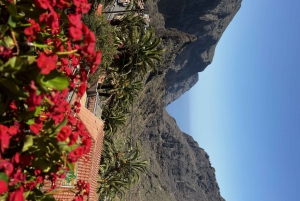 Santa Cruz: North Tenerife Private Guided Tour & Lunch
