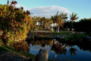 Santa Cruz: Palmetum & Highlights Guided Tour