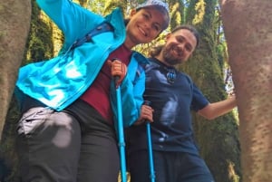 Tenerife: Tour a piedi sopra Masca e la Foresta Incantata