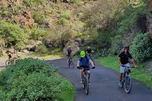 Tenerife: Excursión panorámica en bicicleta con vino y queso