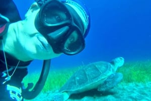 Skootteri hauskaa snorcel kiertue kilpikonna alueella
