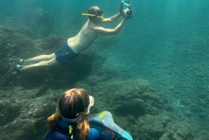 Scooter fun snorcel tour in schildpaddengebied