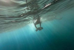 Scooter fun snorcel tour in schildpaddengebied