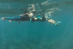 Scooter fun snorcel tour in schildpaddengebied