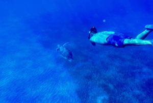 Scooter fun snorcel tour in schildpaddengebied